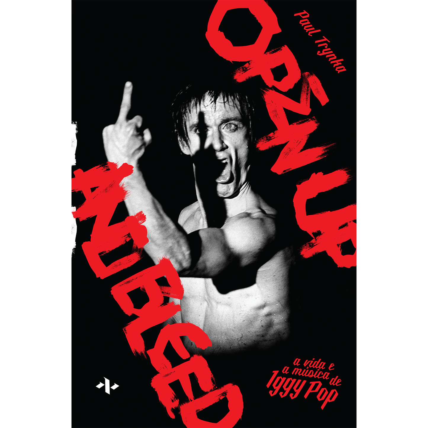 A vida e a música de Iggy Pop Open Up And Bleed