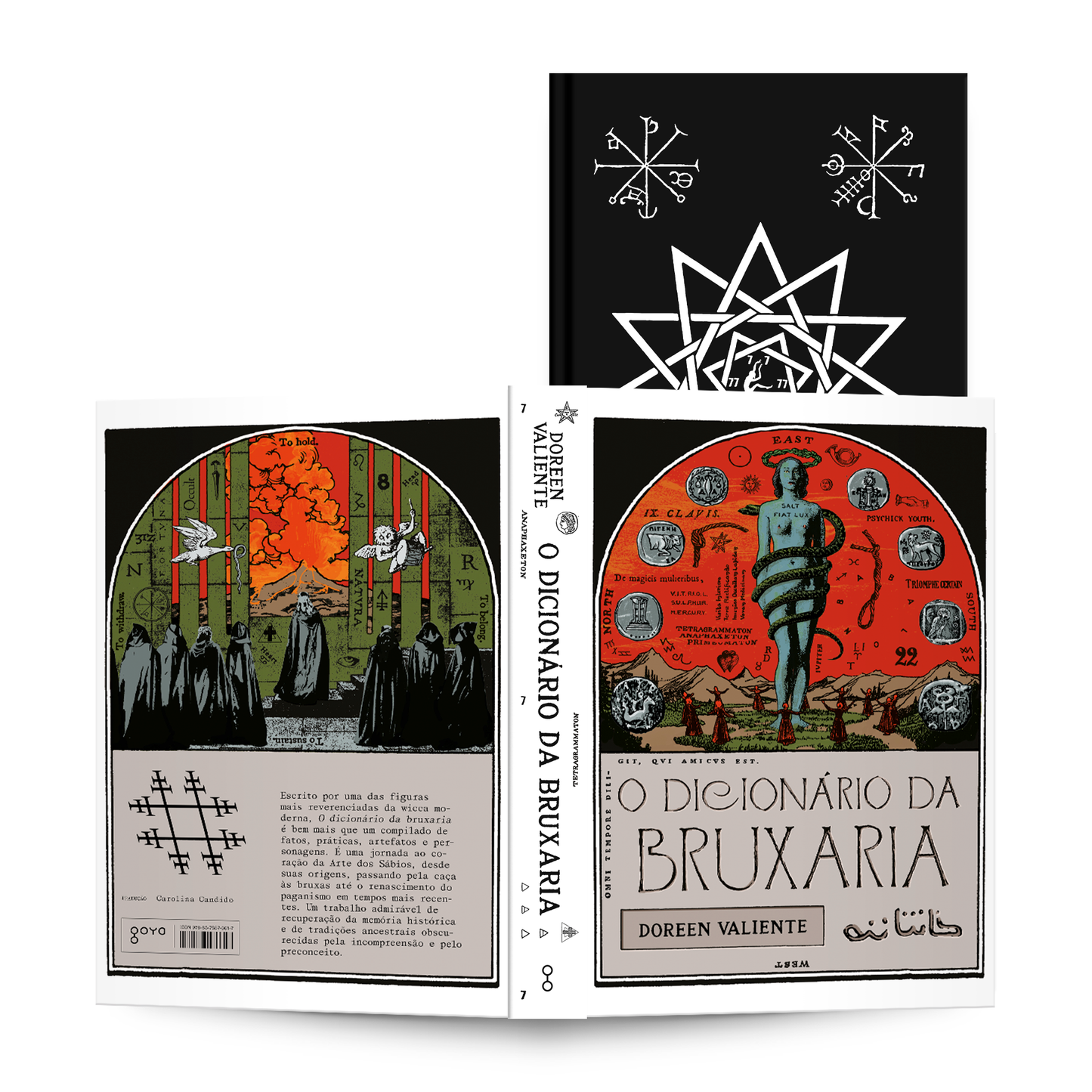 O dicionário da bruxaria