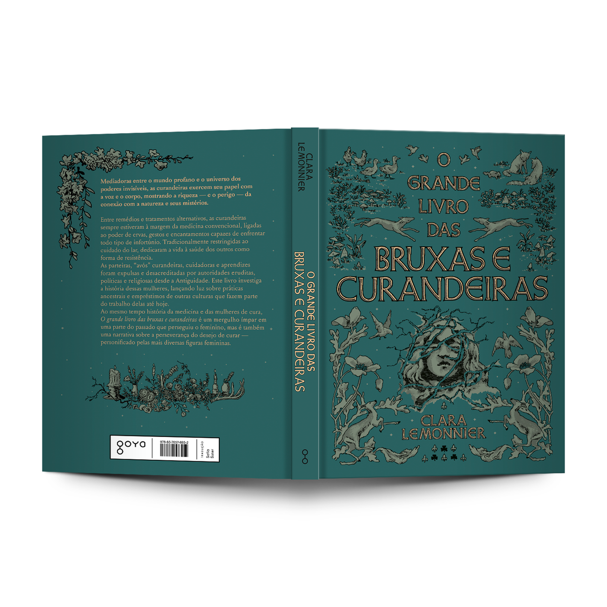 O grande livro das bruxas e curandeiras