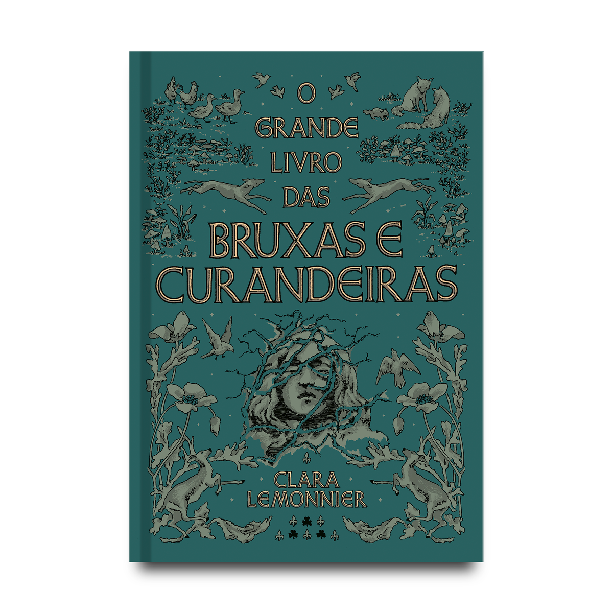 O grande livro das bruxas e curandeiras