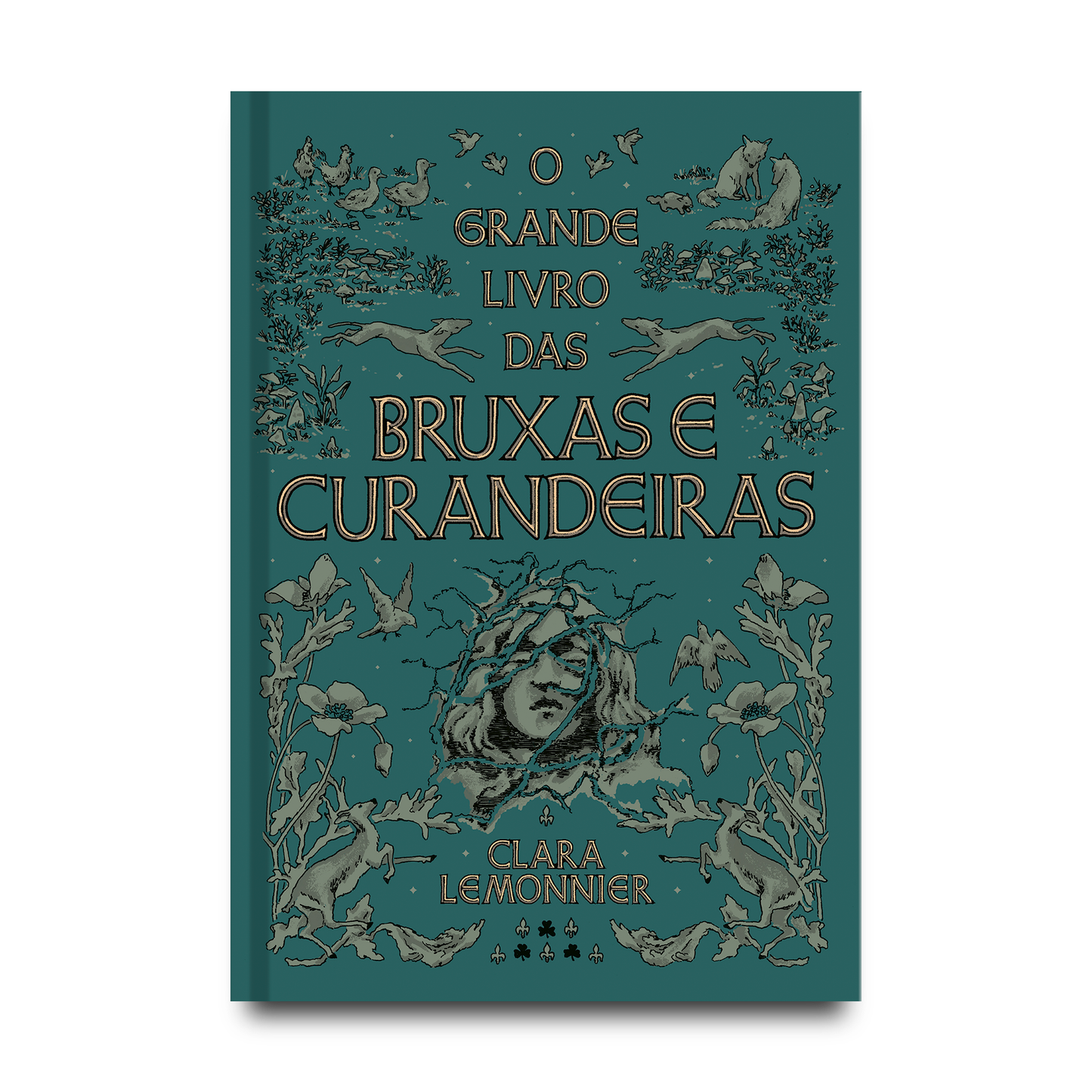 O grande livro das bruxas e curandeiras