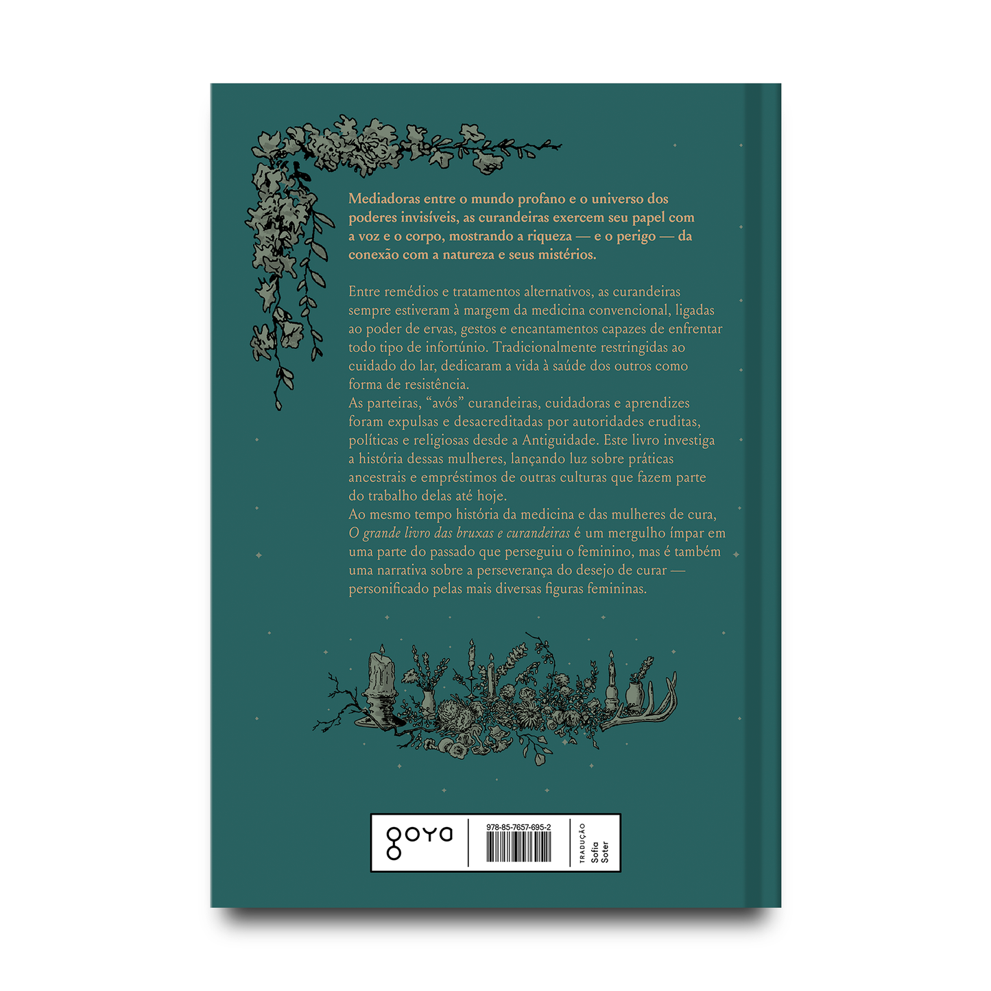 O grande livro das bruxas e curandeiras
