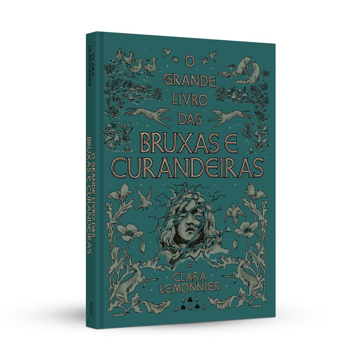O grande livro das bruxas e curandeiras