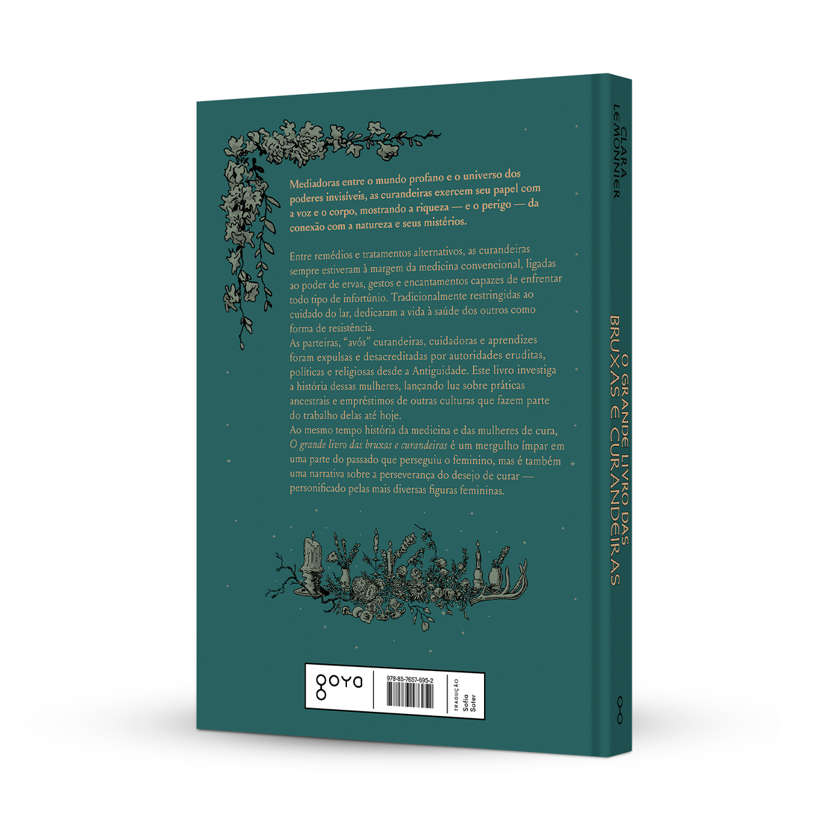 O grande livro das bruxas e curandeiras