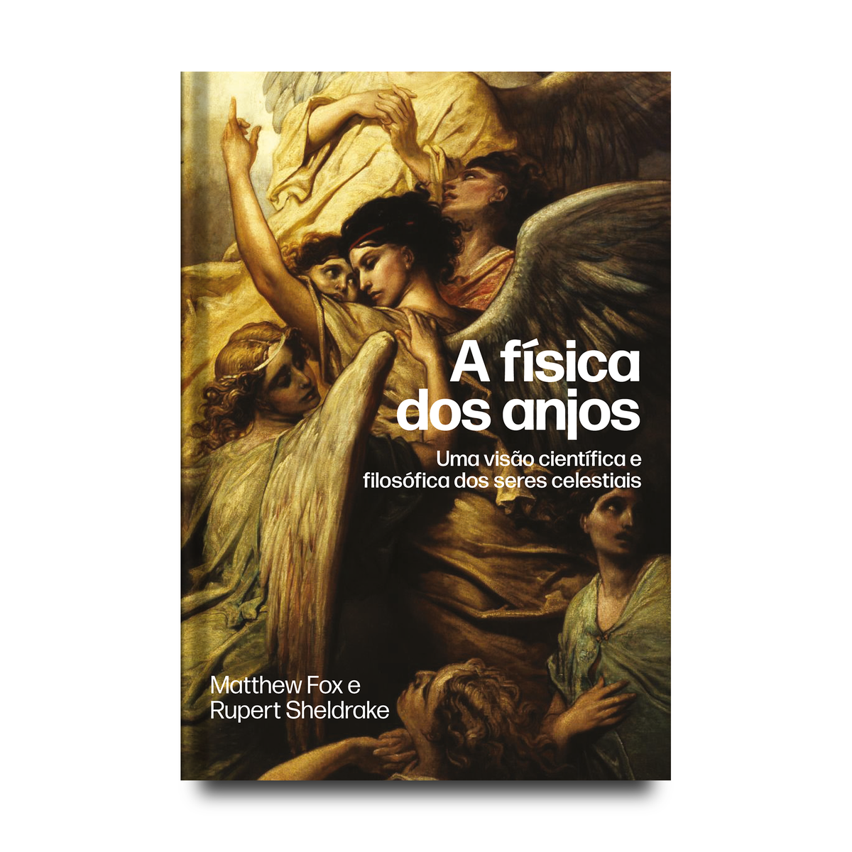 A física dos anjos - Brochura