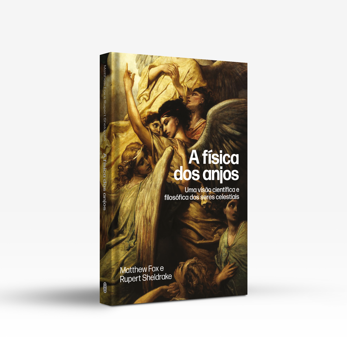 A física dos anjos - Brochura