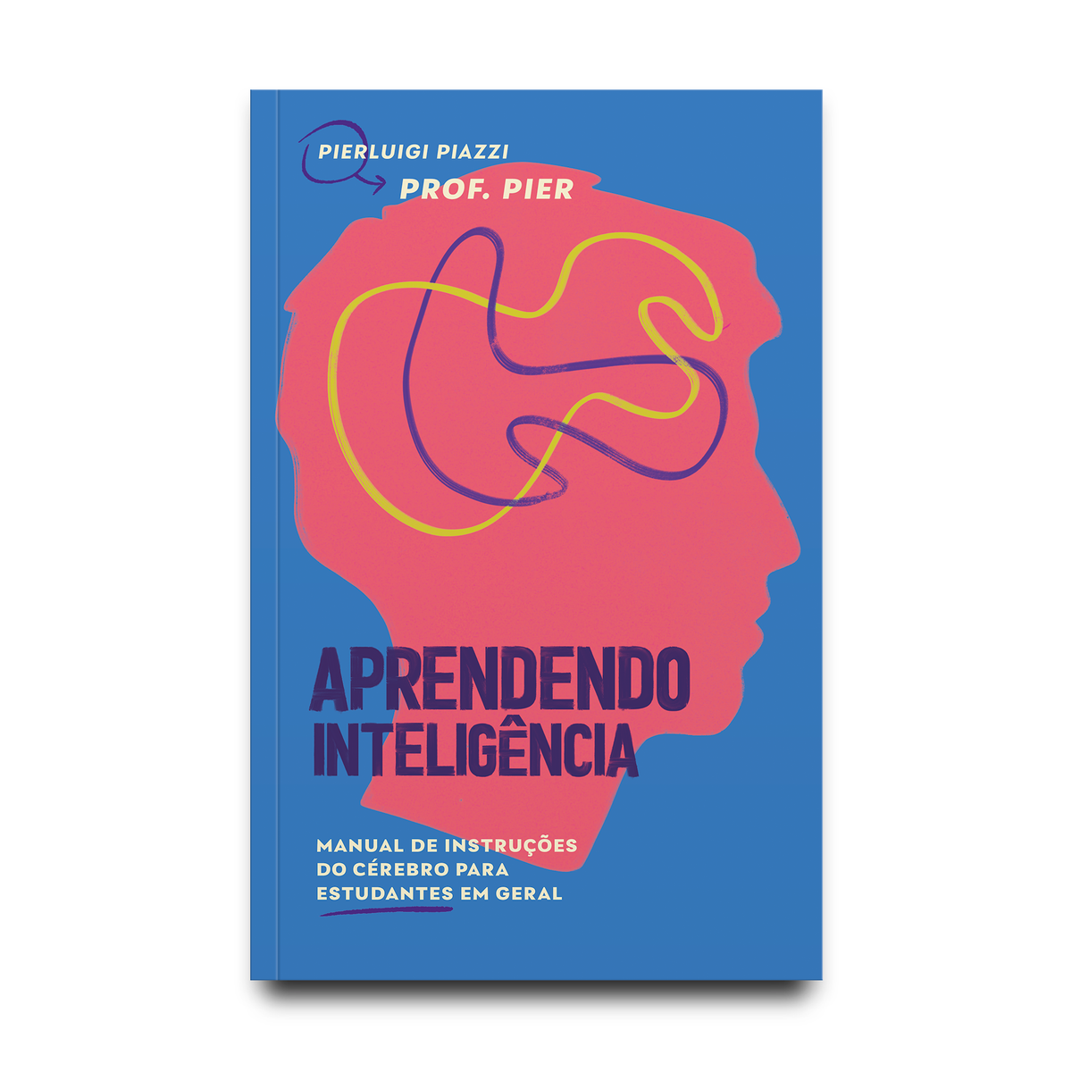 Aprendendo Inteligência