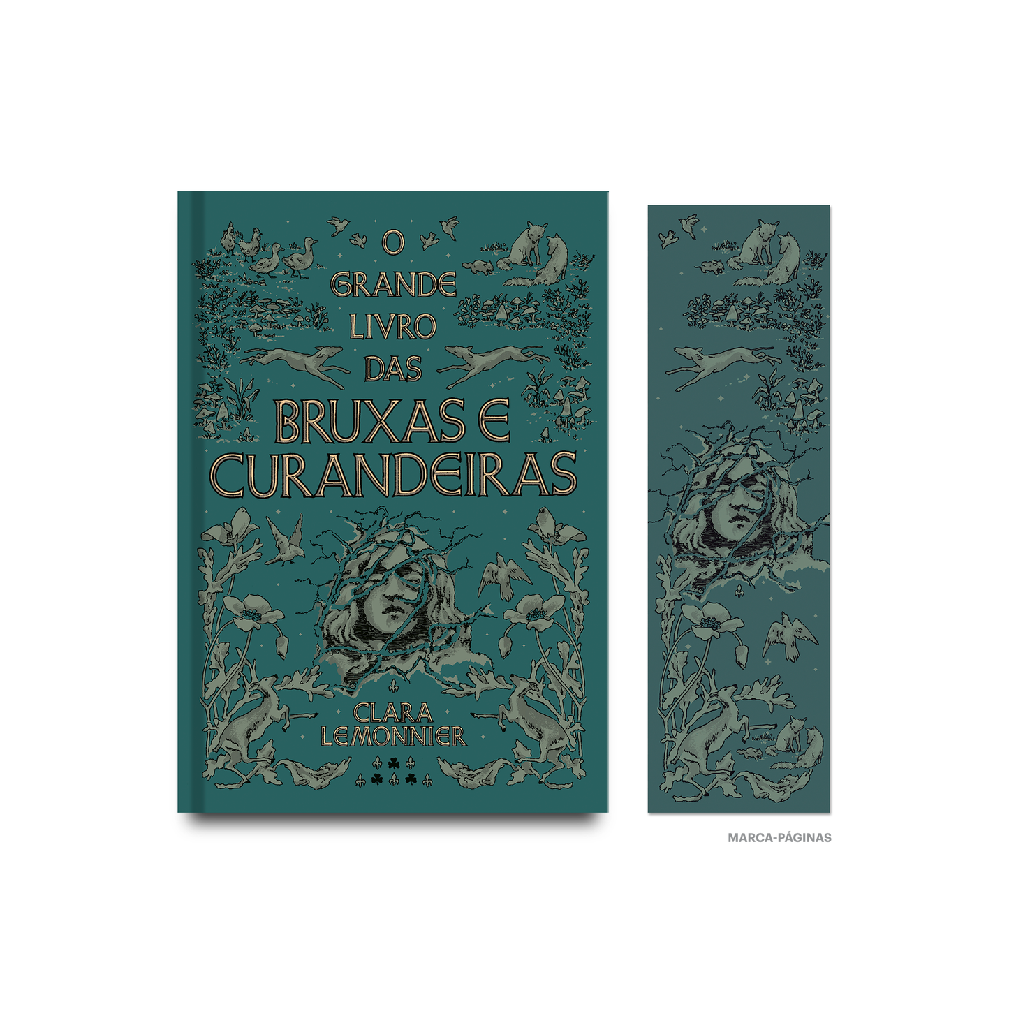 O grande livro das bruxas e curandeiras