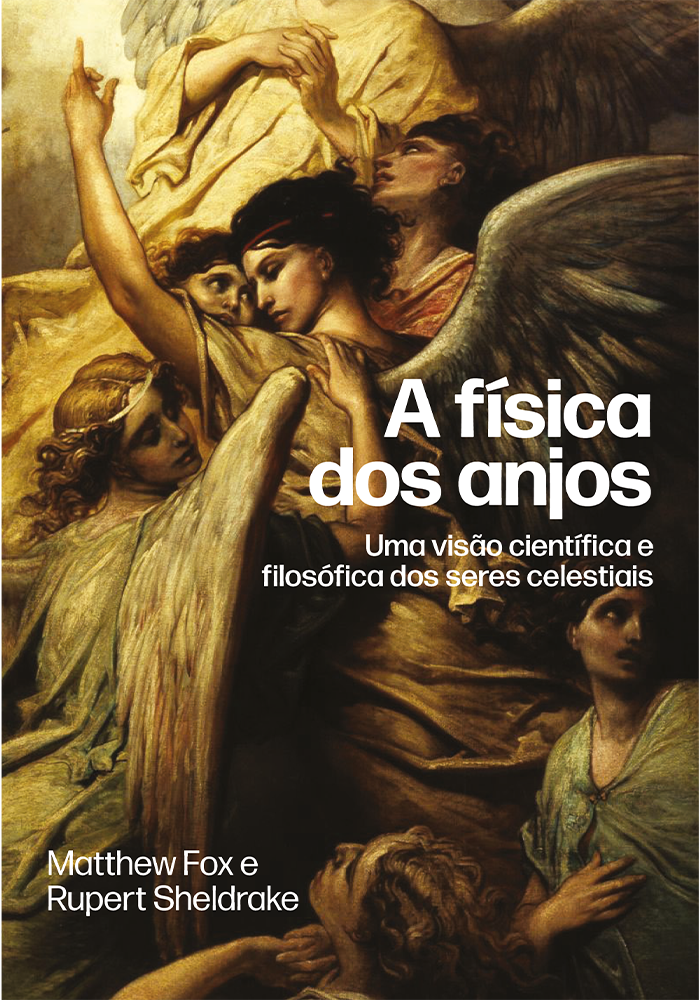 A física dos anjos - Brochura